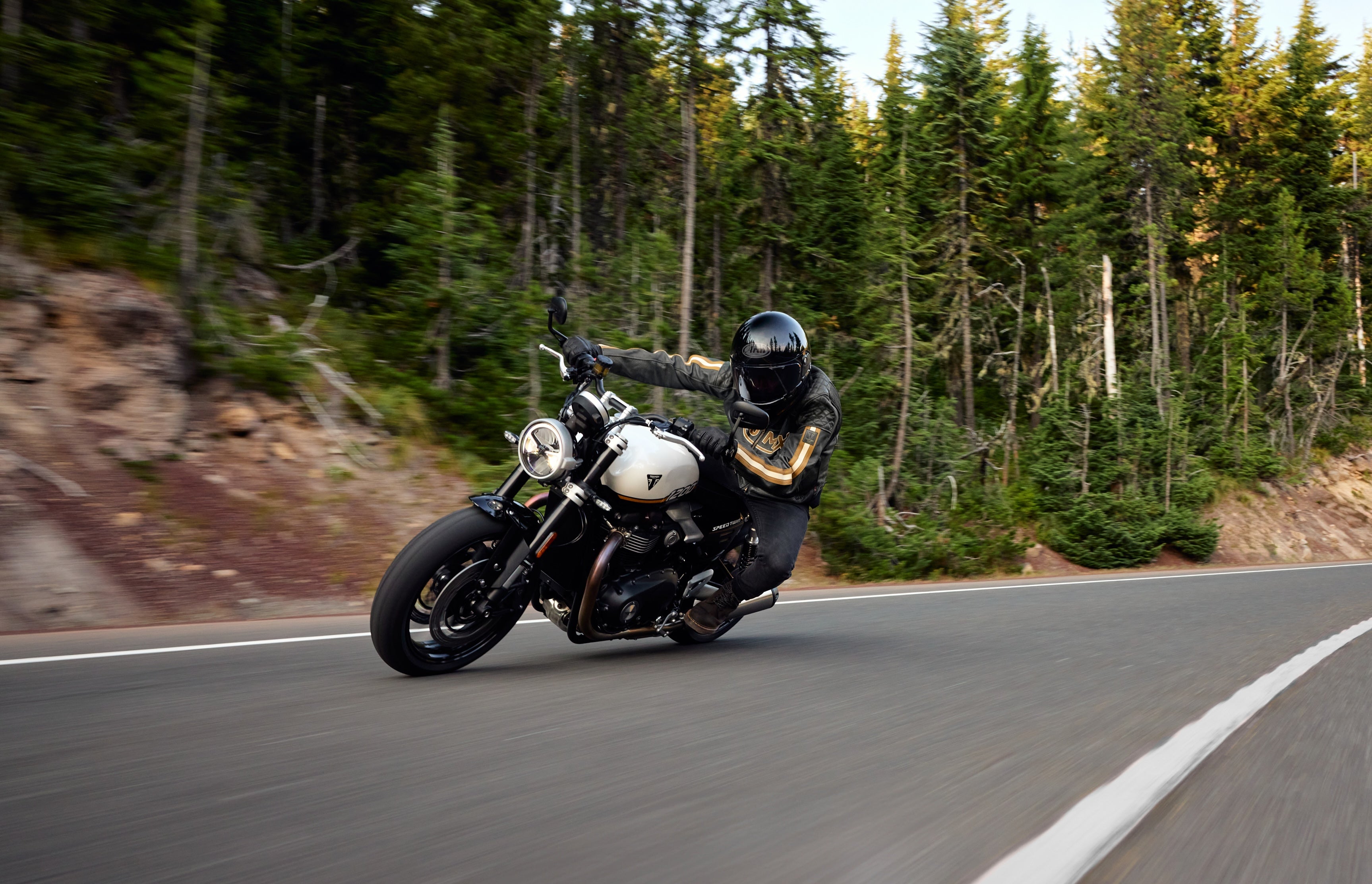 Rider leaning a Triumph Speed Twin 1200 through a sweeping forest road corner, highlighting responsive suspension and agile road handling.