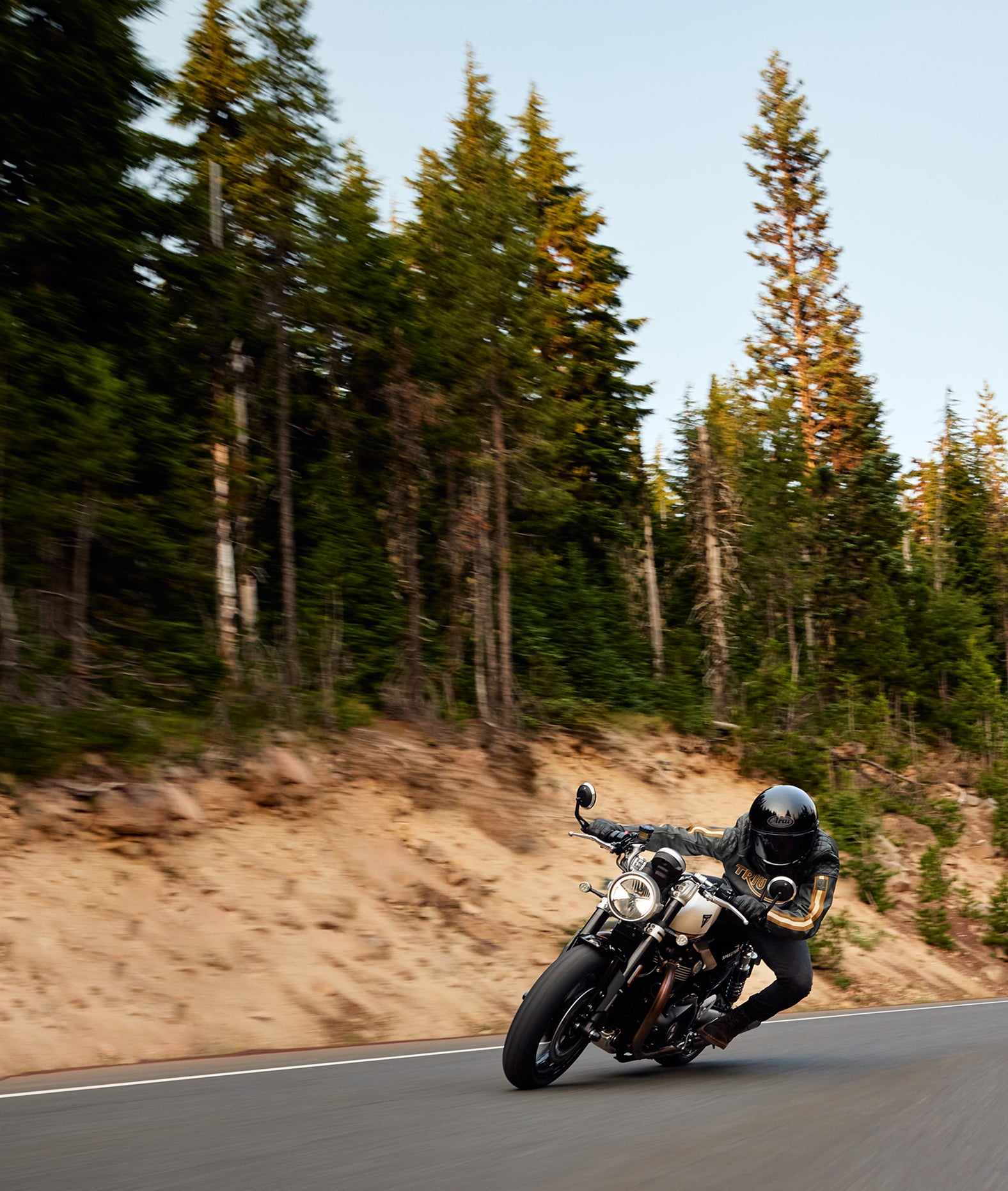 Motorcyclist on a scenic road with trees in the background